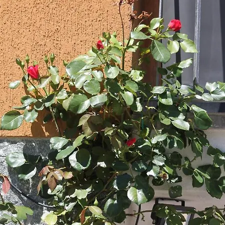 Couette-café Beb Da Gaia E Giulio 3*